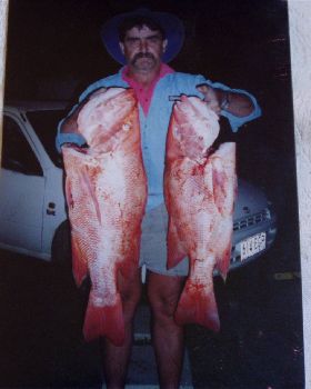 two big reds taken on wreck out from russell heads nth qld