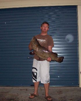 25lb Cod taken on Live bait