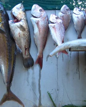 Fishing