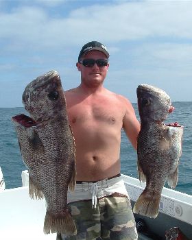 good day southwest wa