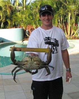 Caught this amonst some nice blue swimmers