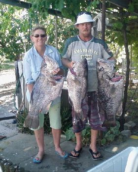 Great Boxing day fishin