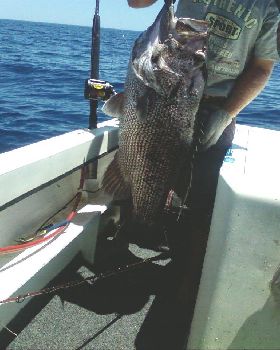 Great Boxing day fishin