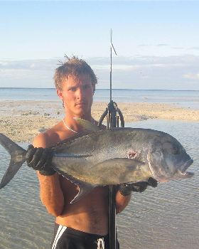 some fish speared