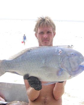 some fish speared