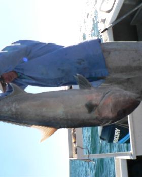 Fishing