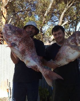 12.5KG -12.0KG AND 5KG BIG BOYS AT PORT VINCENT SECOND POLE AT ORONTES 