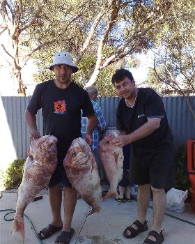 12.5KG -12.0KG AND 5KG BIG BOYS AT PORT VINCENT SECOND POLE AT ORONTES 