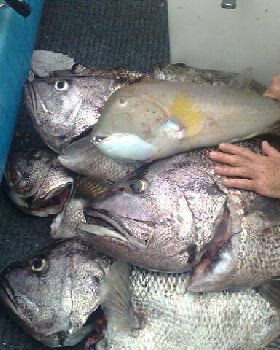 Fishing