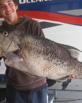 12 kg dhuie on lure
