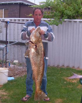 19 k Mulloway caught in the middle of the ocean off Bunbury 