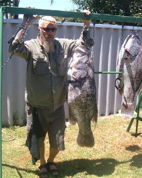 20kg Jewie caught by JD off Bunbury boat record for Jewie