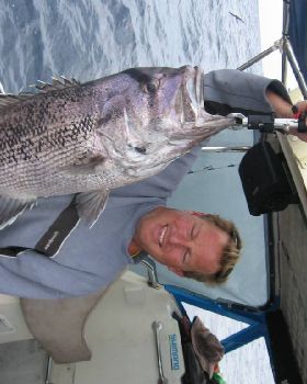 some nice fish