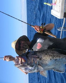 some nice fish