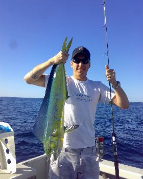 a mahi i caught with me herring stick
