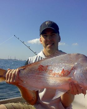 snapper in the sound from me tinny