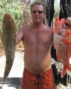nice flathead