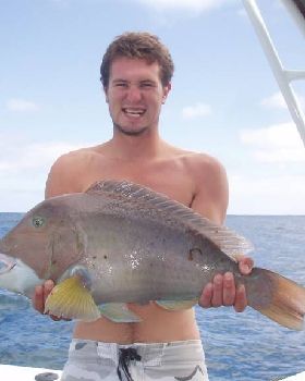 Xmas Fish West Aust