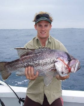 Xmas Fish West Aust