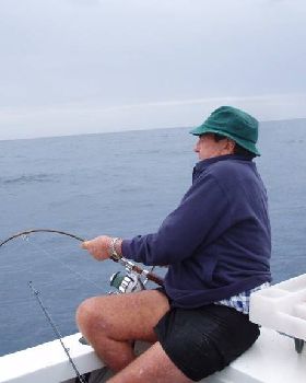 Xmas Fish West Aust