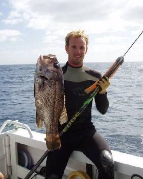 Xmas Fish West Aust