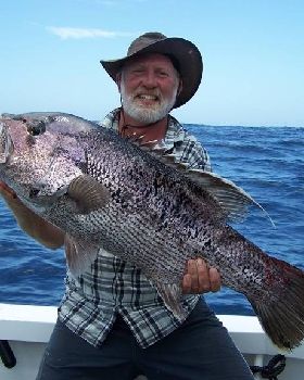 Xmas Fish West Aust
