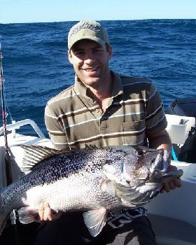 Xmas Fish West Aust