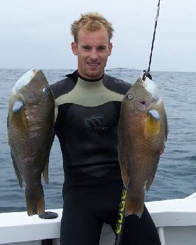 Xmas Fish West Aust