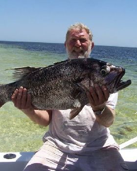 Xmas Fish West Aust