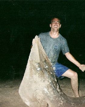 Monster Shovel Nose caught on 15kg, Dampier WA