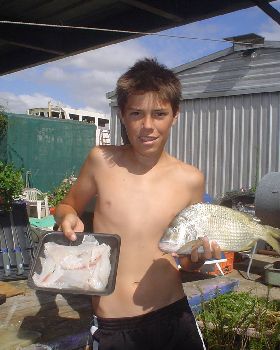 feed of fish