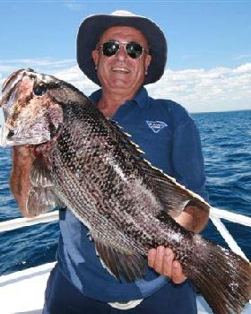 bloodey eastern staters in west oz
