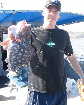 rankin cod
