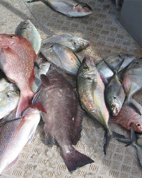 mixed bag while on charter