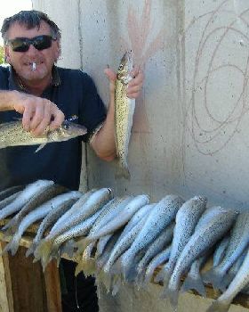KI Sth Aussie - King George Whiting are biting!