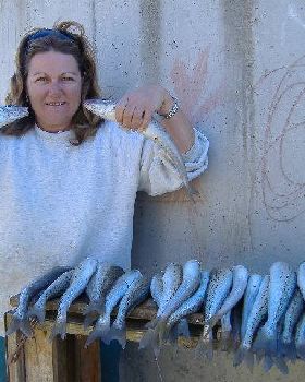 KI Sth Aussie - King George Whiting are biting!