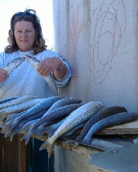 KI Sth Aussie - King George Whiting are biting!