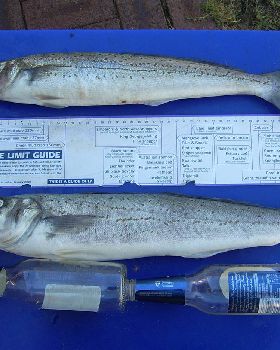 KG Whiting