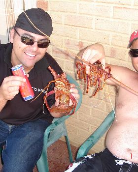 Half way to 3mile reef, lovely buggers.