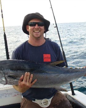 35kg tuna