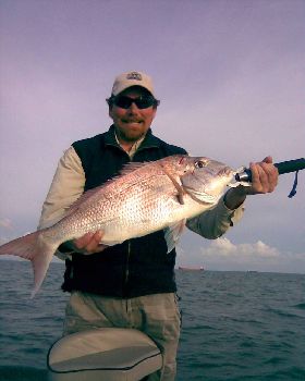 Snapper