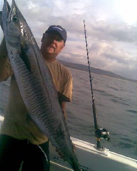 14.5kg spanish mackreal
