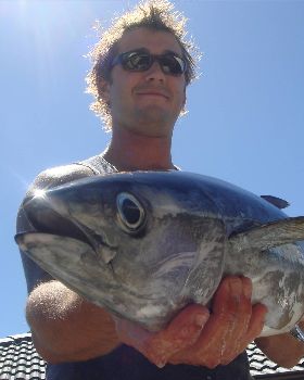 yellow fin
