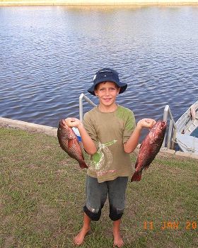My sons first Mangrove Jacks