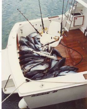 Fishing