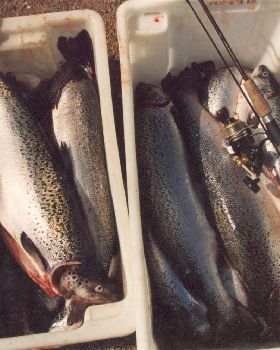 Fishing