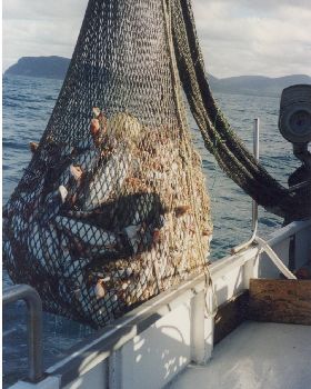 Fishing
