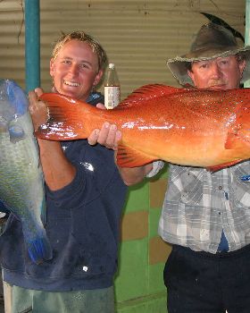 trouts and a bluey