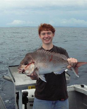 3kg Snapper on soft plastics