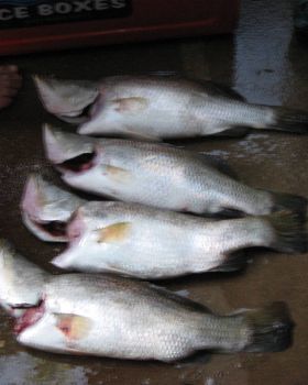 fishing in gods country n.t.